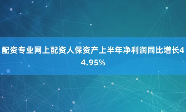 配资专业网上配资人保资产上半年净利润同比增长44.95%